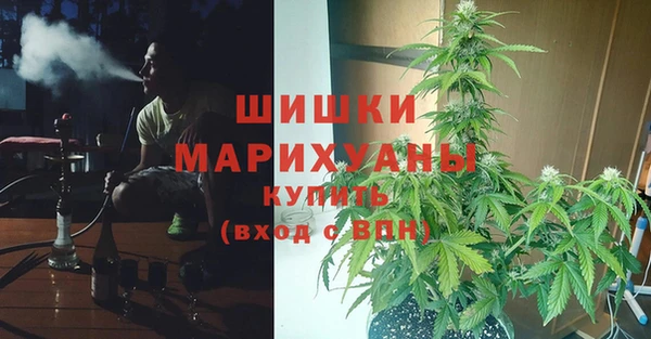 кокс Алзамай