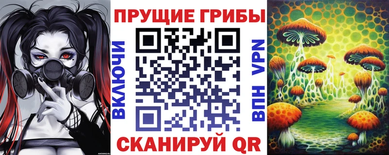 Галлюциногенные грибы GOLDEN TEACHER  купить закладку  Бирск 